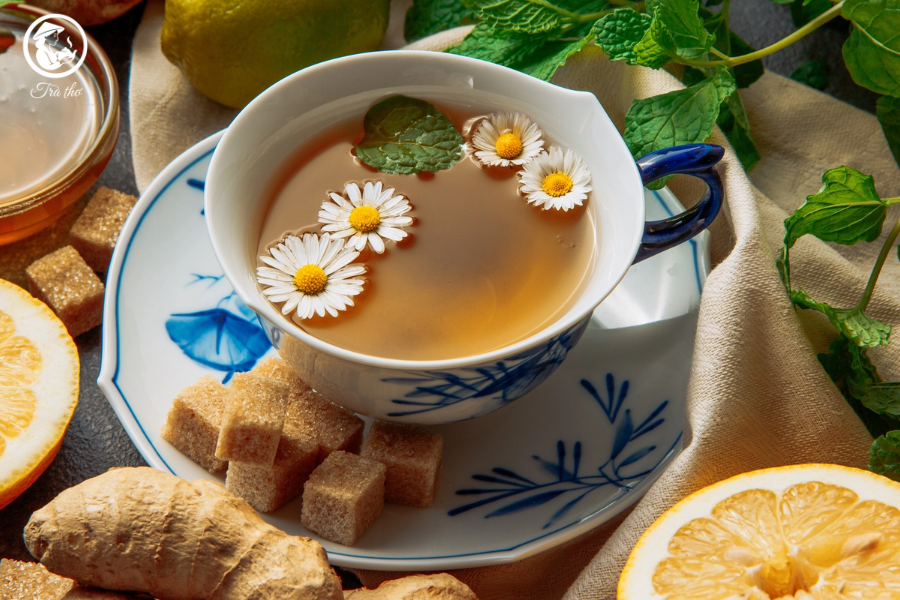 trà hoa cúc có lợi sữa không