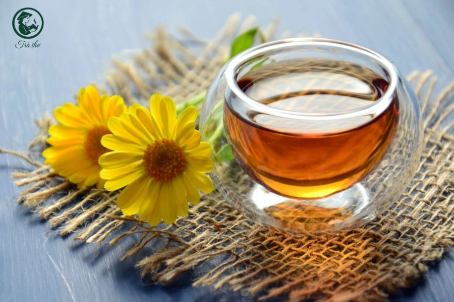 trà hoa cúc có lợi sữa không